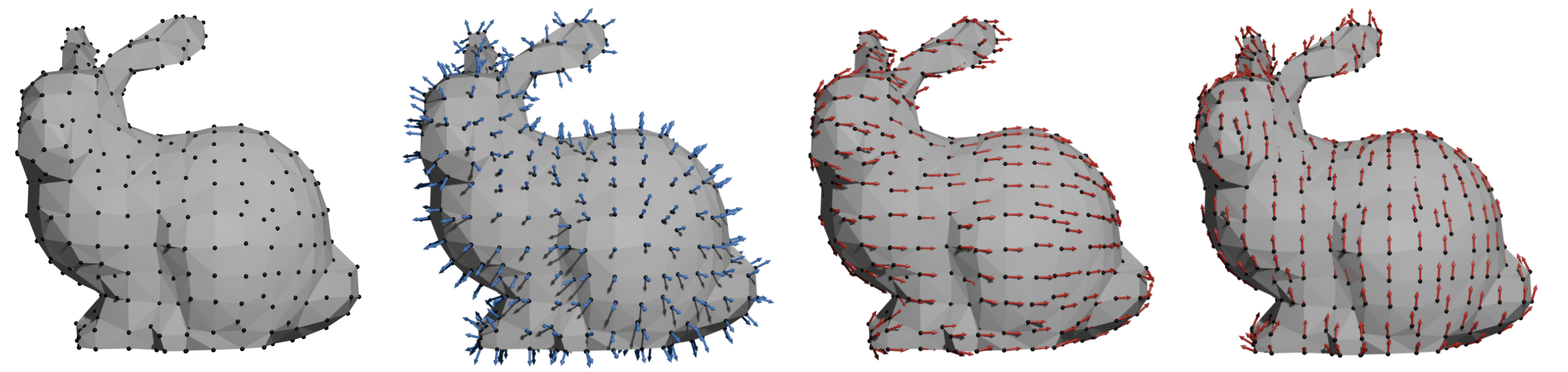 Vector fields illustrated on the Stanford Bunny manifold